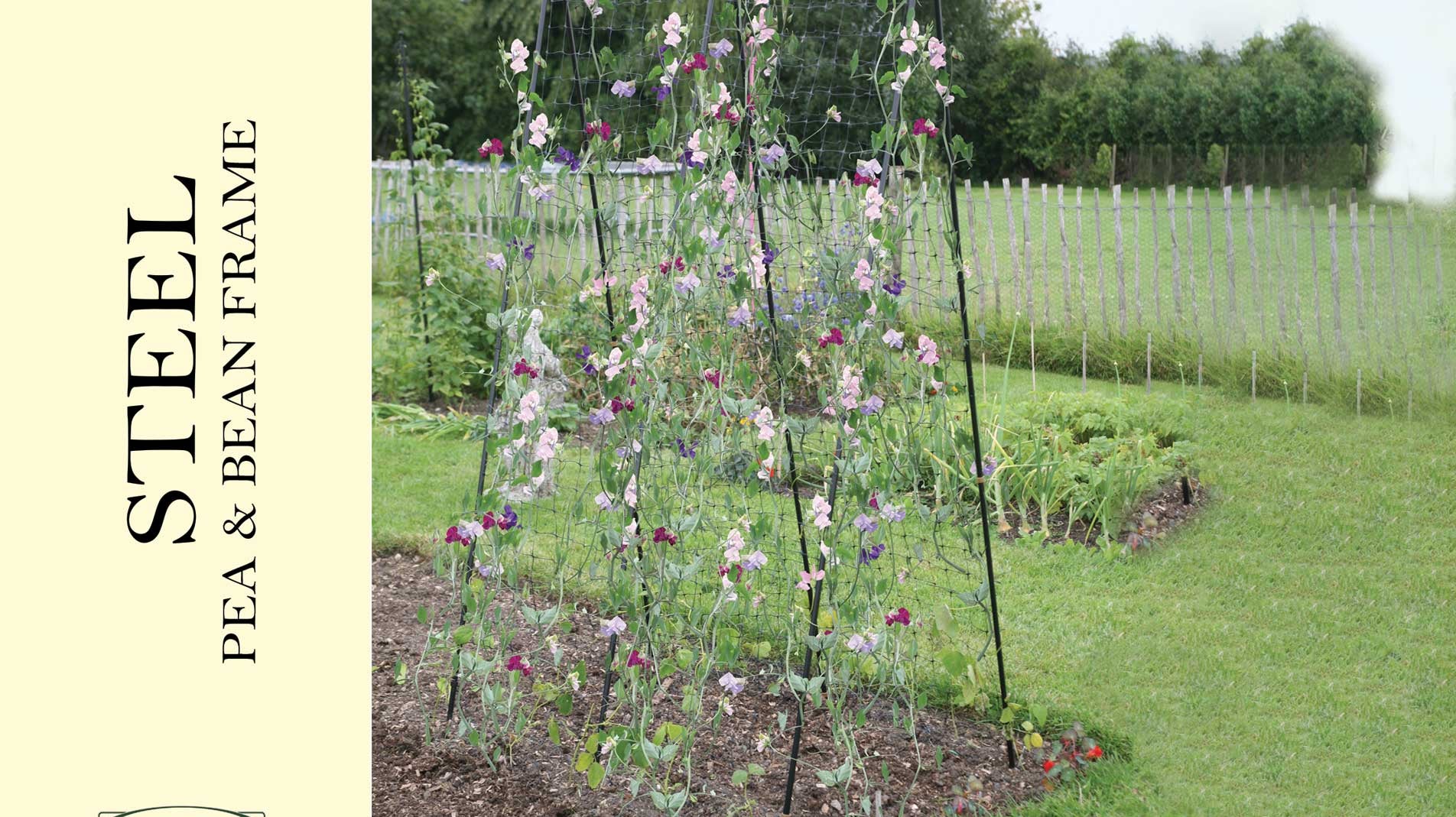 Haxnicks Steel Pea Bean Growing Frame