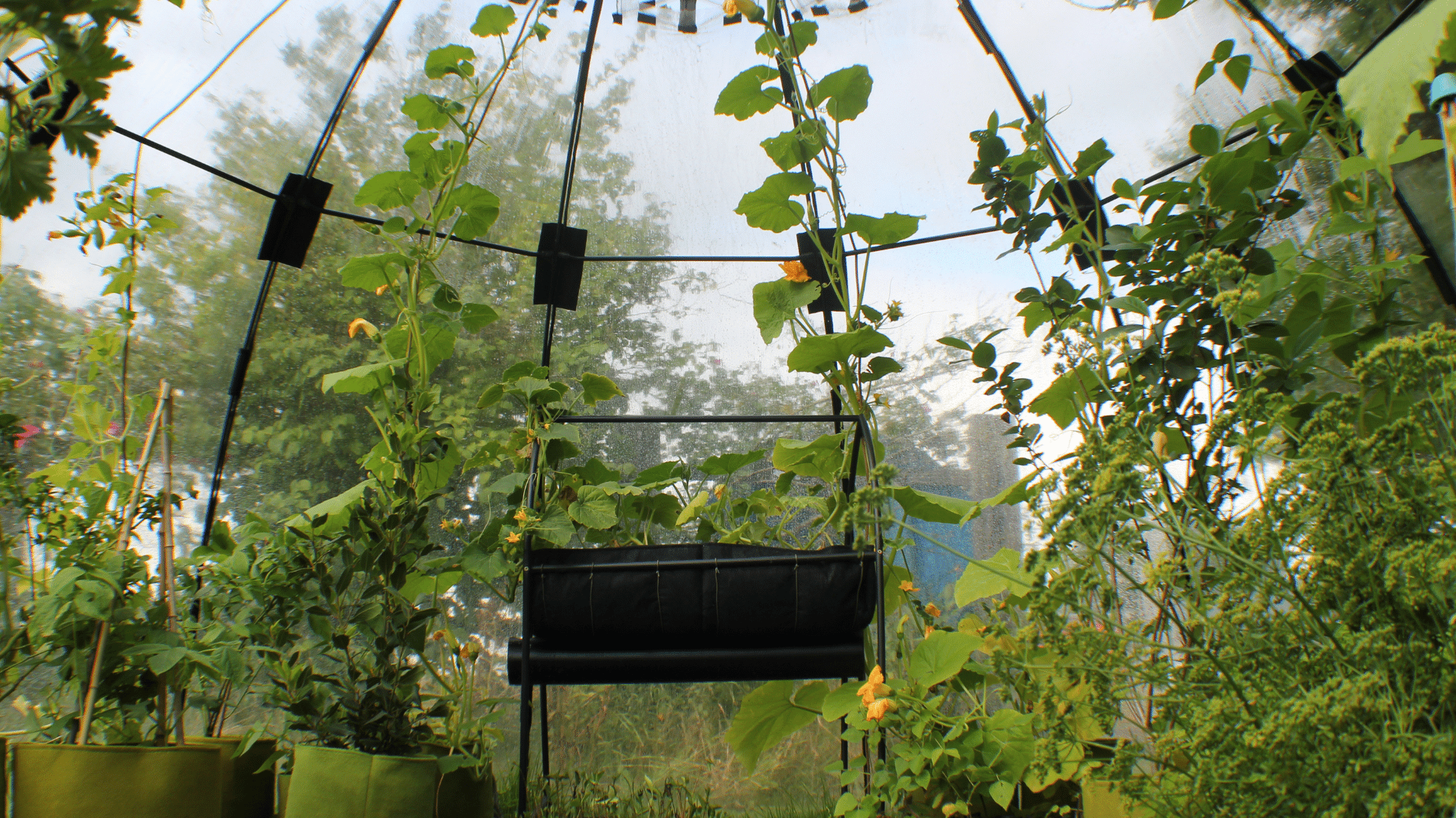 Product Bite: Sunbubble - the innovative pop up greenhouse