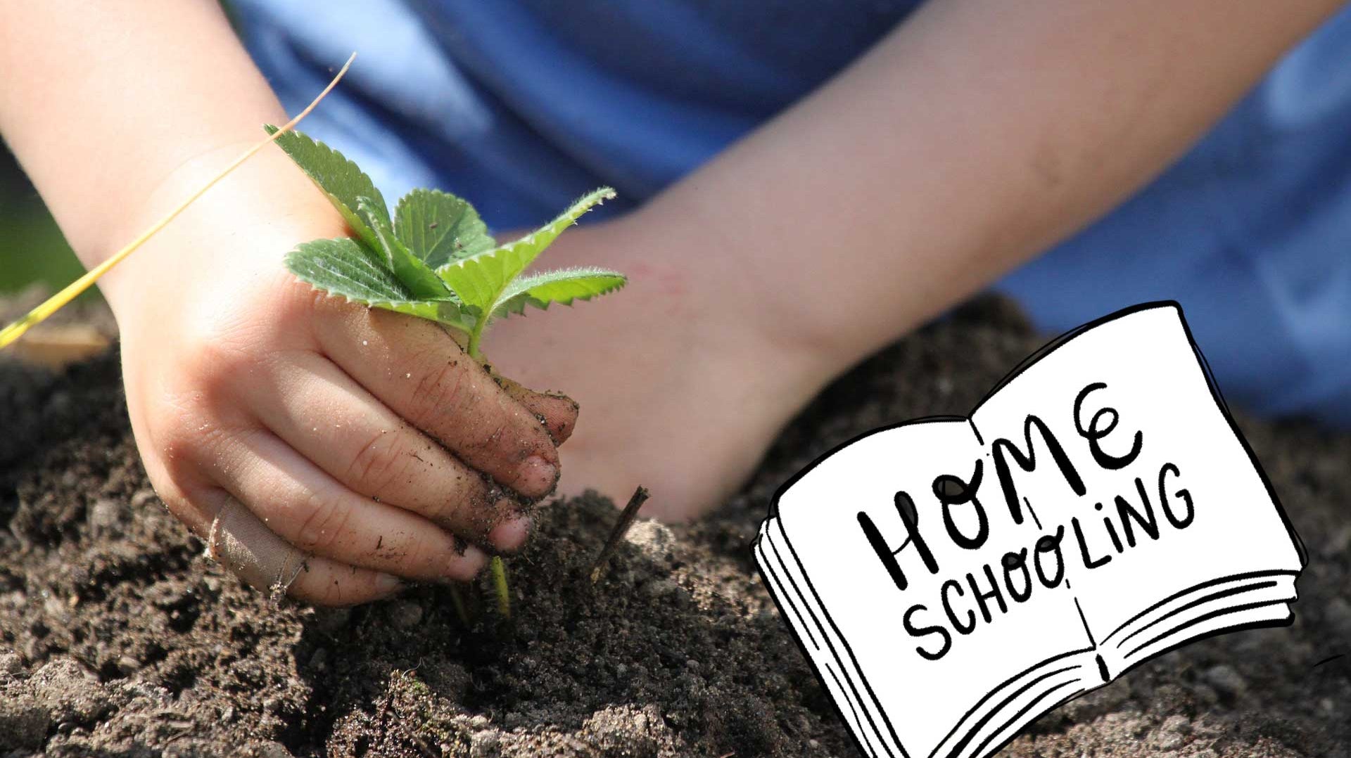 Child planting in the garden homeschooling ideas for Lockdown 3