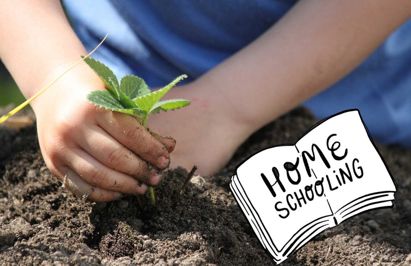 Child planting in the garden homeschooling ideas for Lockdown 3