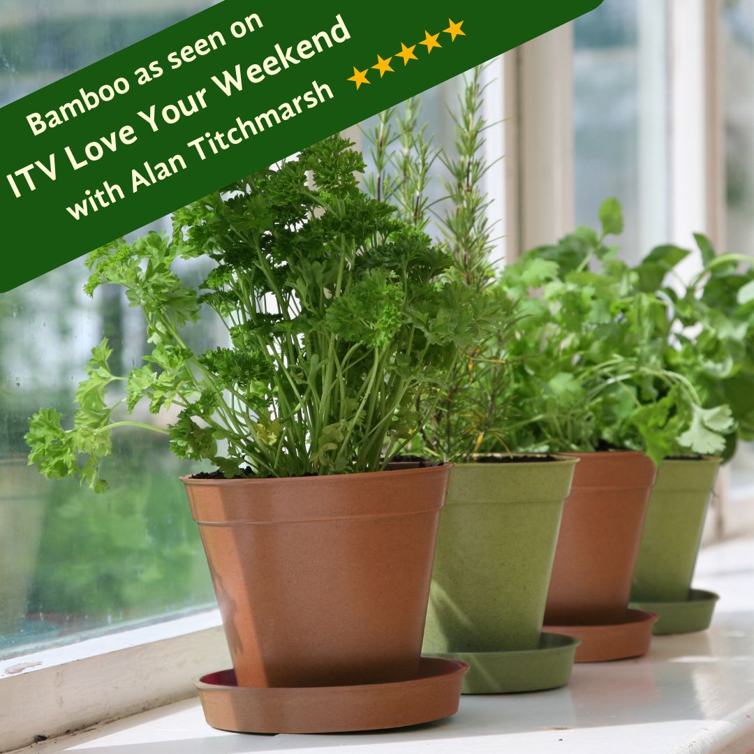 Three bamboo plant pots with plants in them, placed on a windowsill, with a green label stating 'Bamboo as seen on ITV Love Your Weekend with Alan Titchmarsh' and giving a rating of 5 stars.