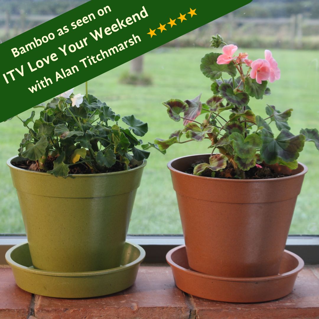 Two bamboo plant saucers, one green and one brown, displayed on a windowsill with plants pot on top with plants in. The image has a caption and a five-star rating as seen on ITV Love Your Weekend with Alan Titchmarsh.