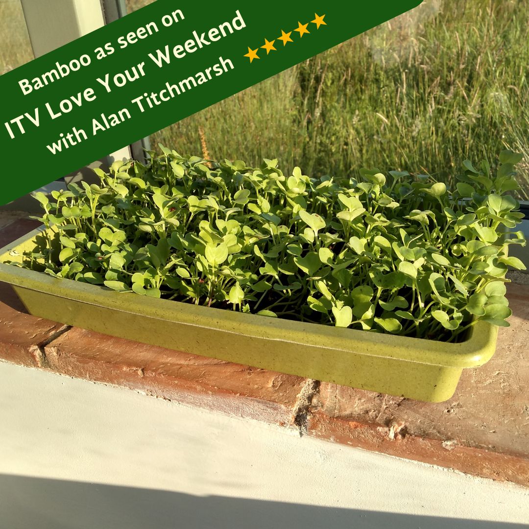 A bamboo seed tray in sage green color, filled with soil and green bamboo plants, on a windowsill with text overlay about its appearance on ITV Love Your Weekend with Alan Titchmarsh