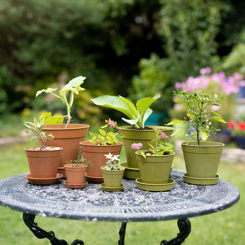 Haxnicks- bamboo pots group of 8 plant pots in all sizes in Sage green and terracotta colours with a variety of house plants in them in a garden