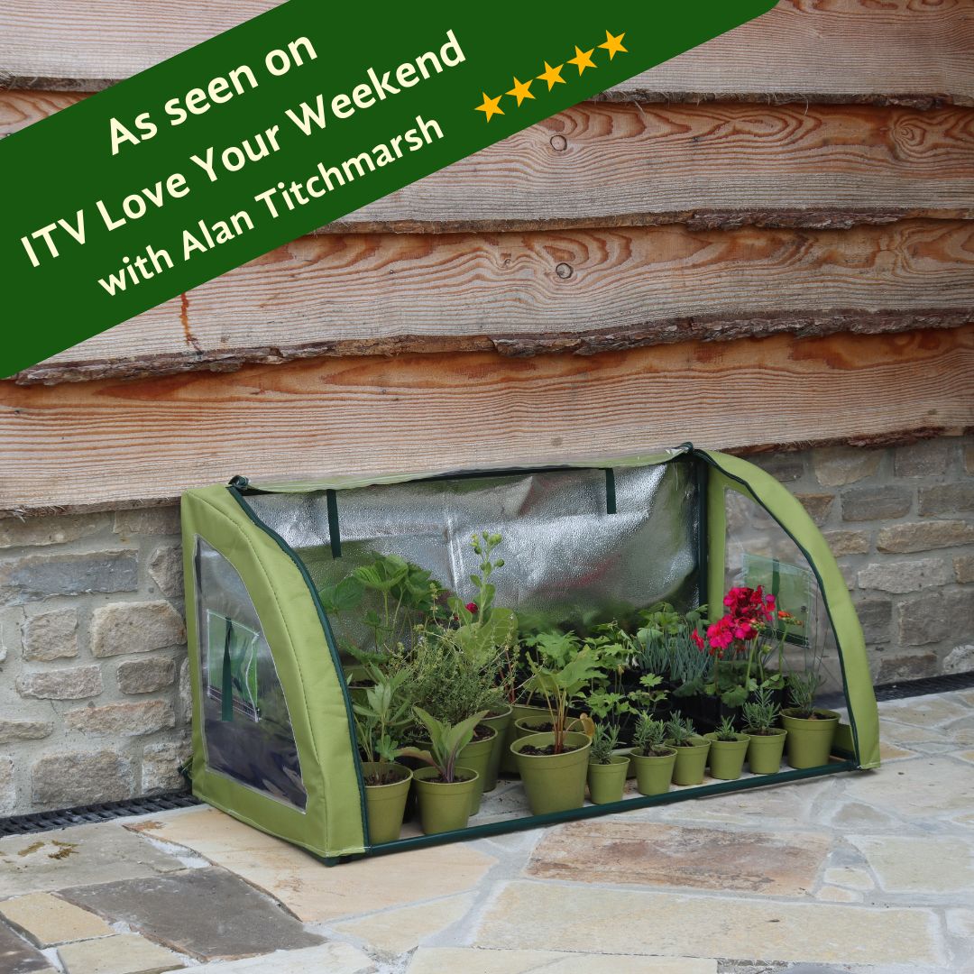 A green Light-Booster coldframe with plants inside, placed against a stone wall. The product image also includes a text overlay mentioning 'As seen on ITV Love Your Weekend with Alan Titchmarsh' and a five-star rating.