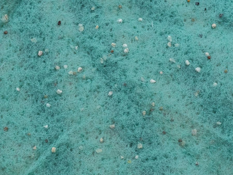 Rapid Roll Out material close up showing seeds embedded in it