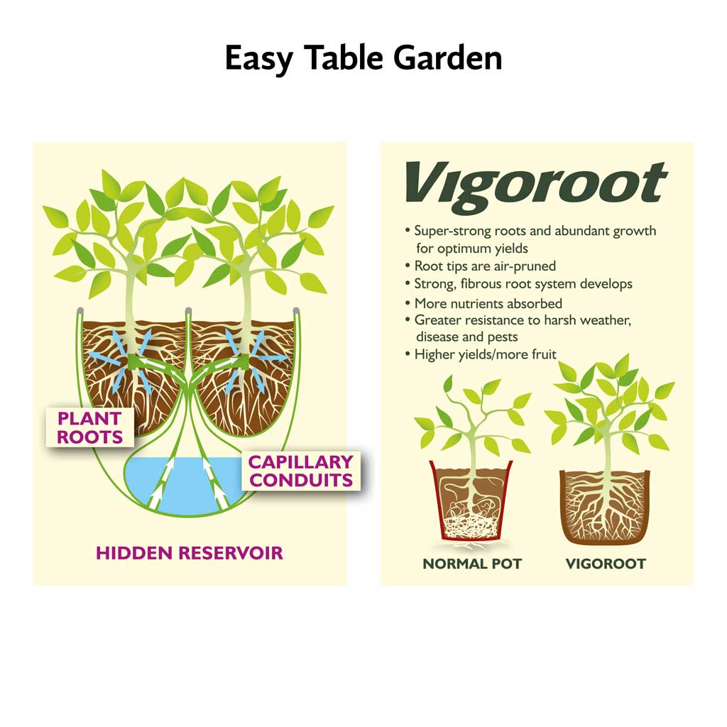 Diagram of a Vigoroot Self Watering Tower Garden with cross section of 2 Vigoroot pots shwoing root system and water resevoir and second diagram of how Vigoroot pots work showing a cross section of Vigoroot and normal pots