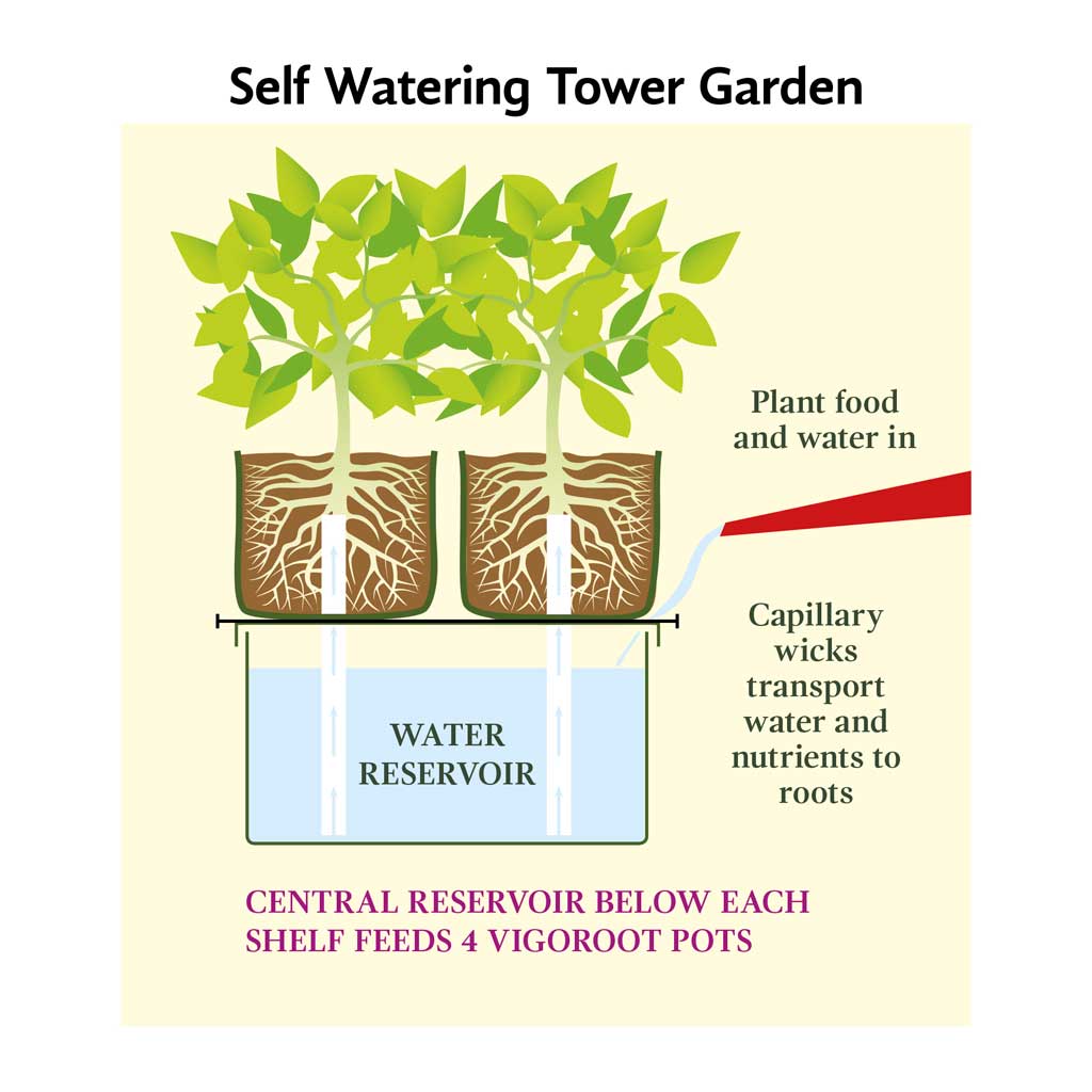 Diagram of a Vigoroot Self Watering Tower Garden with cross section of 2 Vigoroot pots shwoing root system and water resevoir