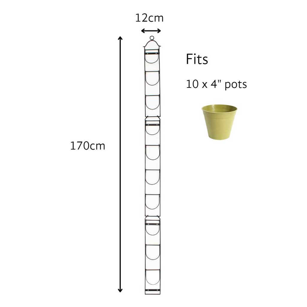 Diagram of Tall Wall Pot holder with dimensions and a Haxnicks sage green bamboo pot