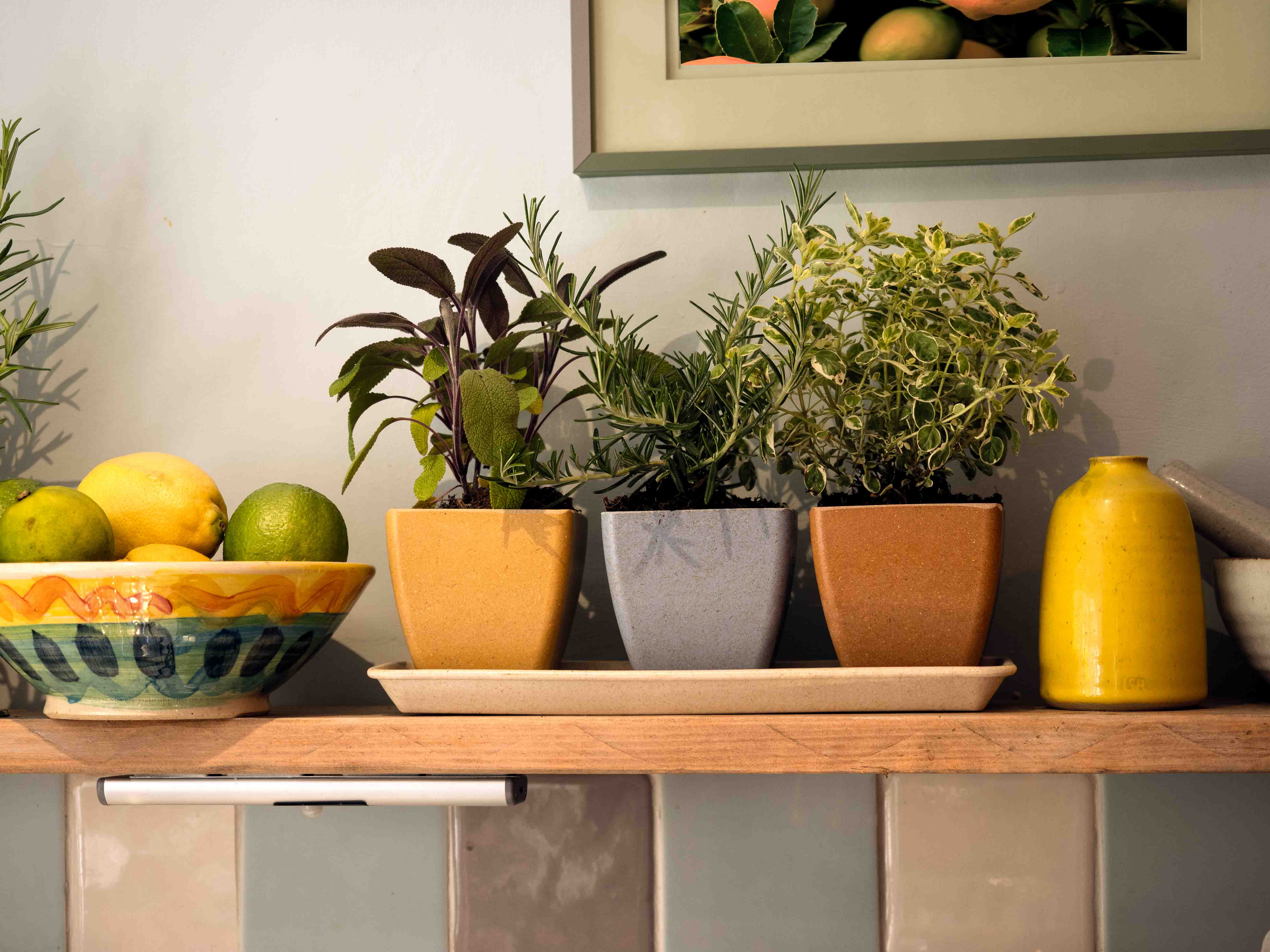 Haxnicks Windowsill set seen from the front on a kitchen shelf with herbs in them and next to a bowl of lemons and limes