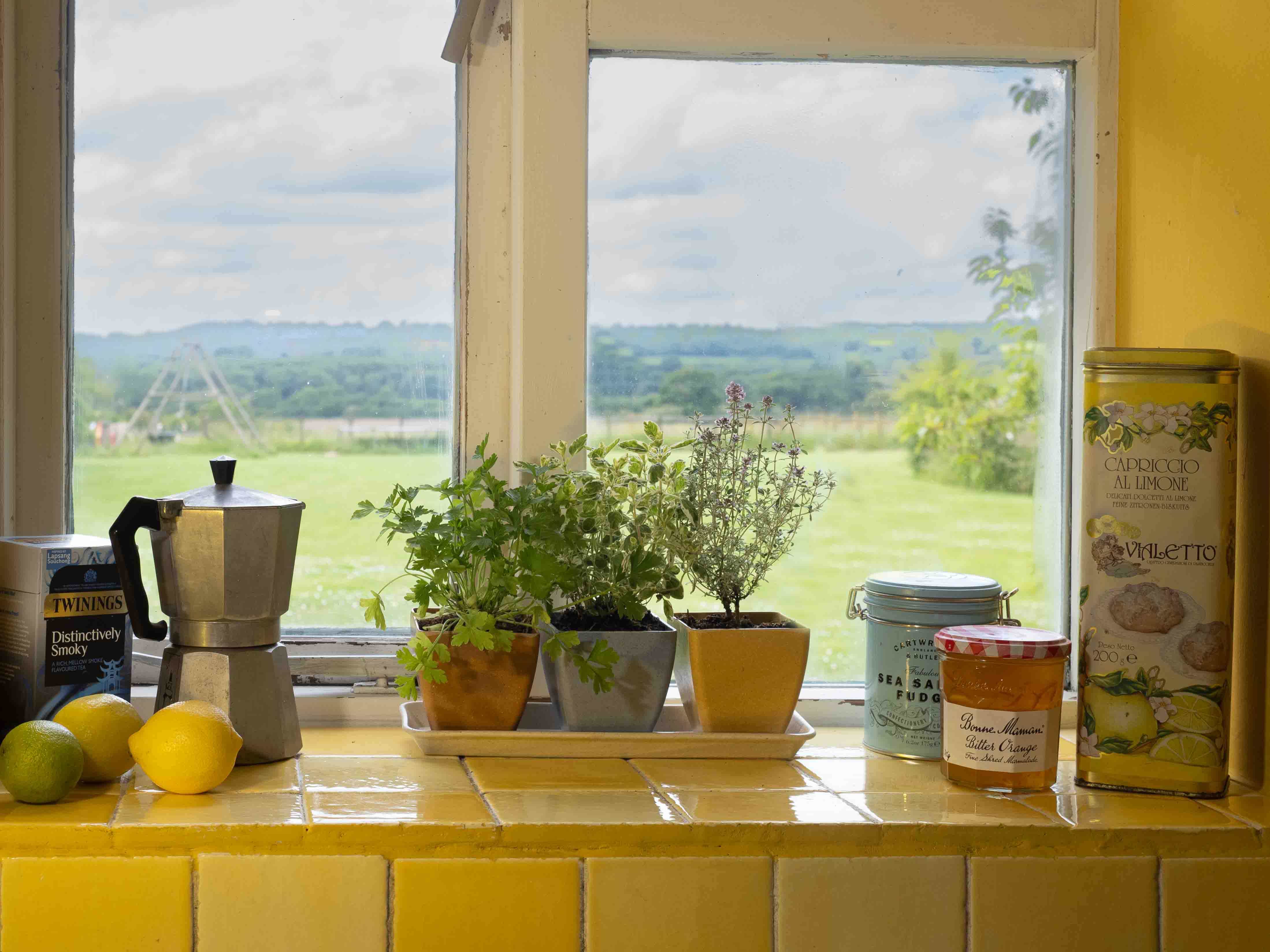 Haxnicks Windowsill set with herbs in them on a kitchen window sill with a view of the garden
