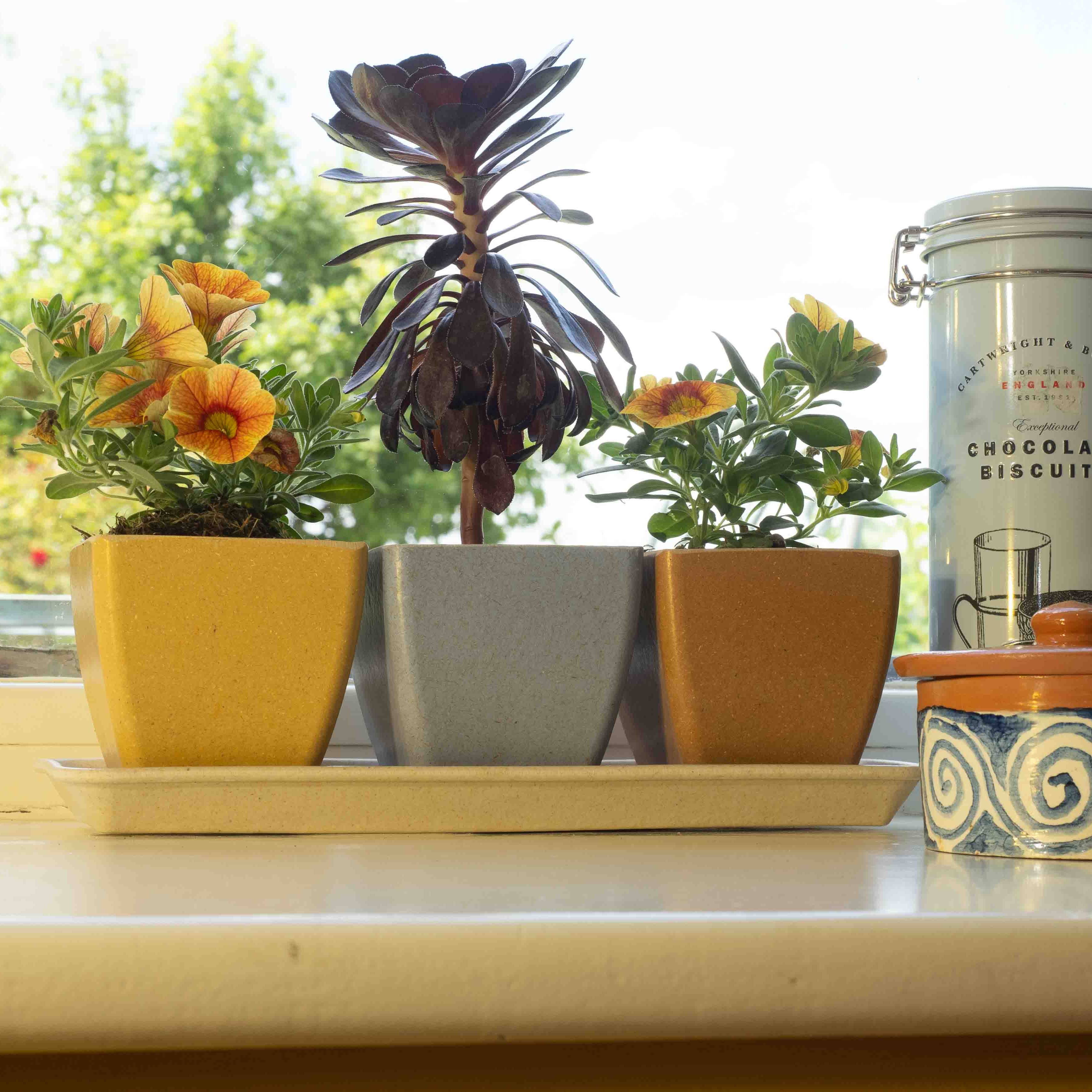 Close up of Haxnicks Windowsill set with flowers in them on a window sill with a view of the garden
