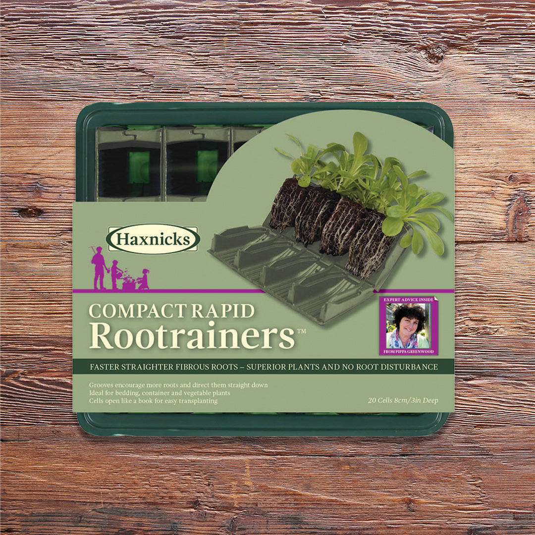 Compact Rapid Rootrainer planting cell packshot on a wooden background