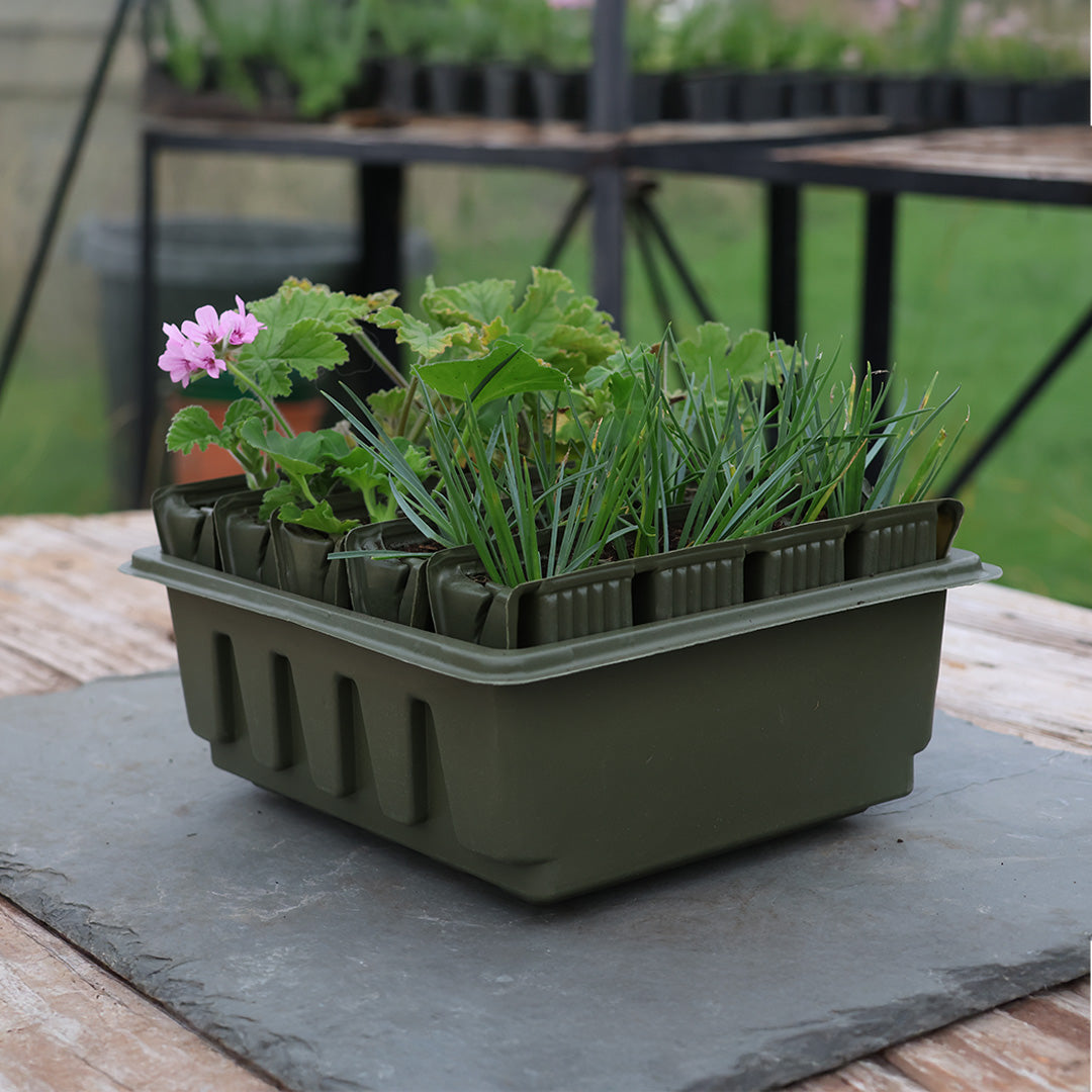 A dark green Compact Rapid Rootrainer with plants growing inside, placed on a table.