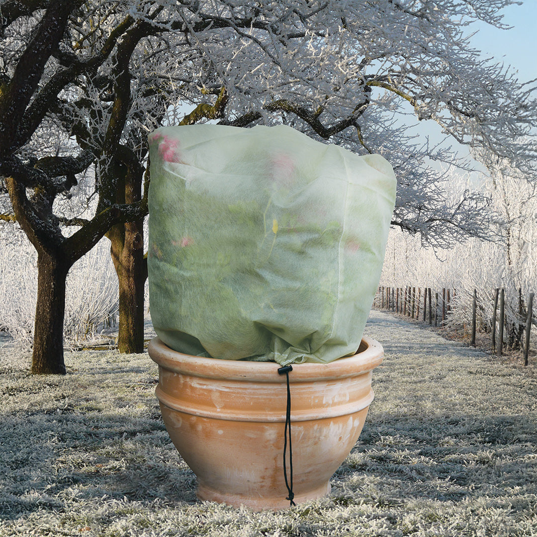 Easy Fleece Jacket on a large plant in a teracotta pot with a wintry background