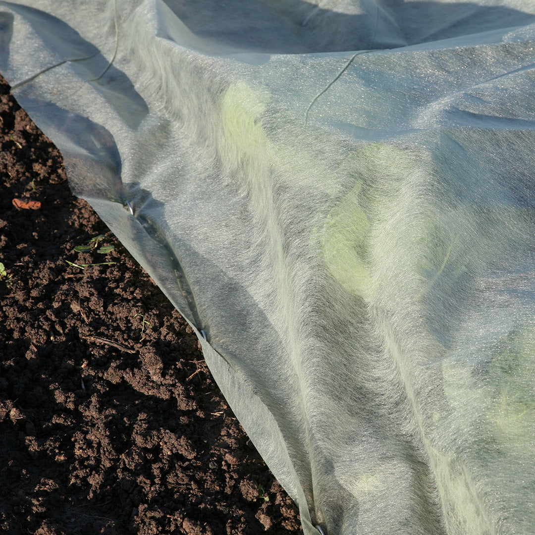 Eco Green Garden Fleece blanket winter plant protection pinned over soil