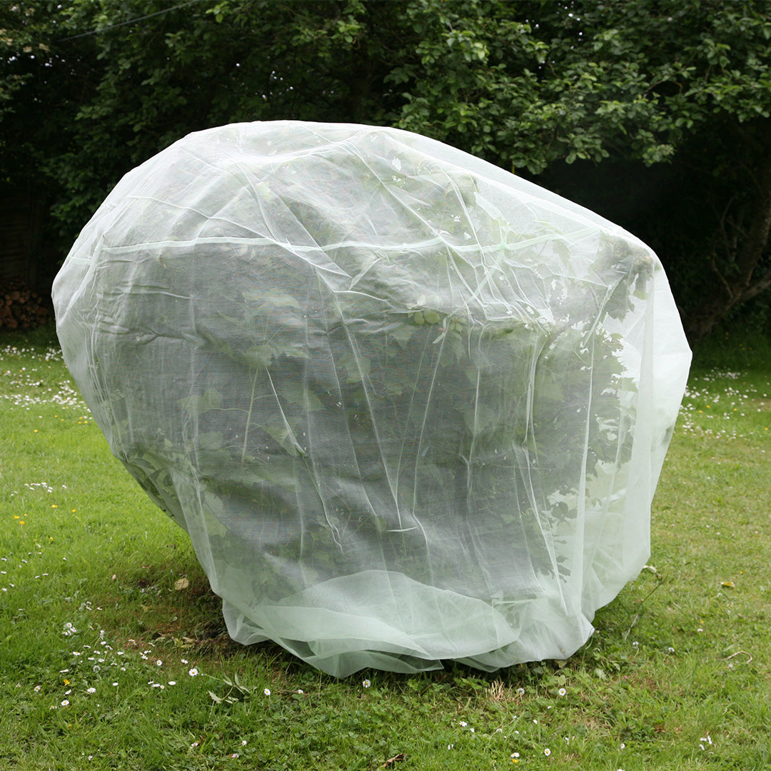 Fruit Tree Protection - covers a medium size tree