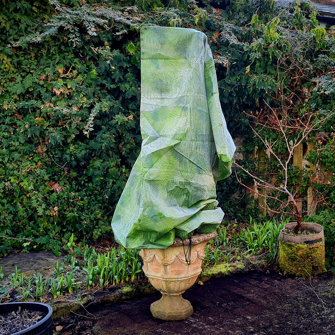 Green Fern Fleece Jacket winter plant protection on a plant in a teracotta urn in a garden setting