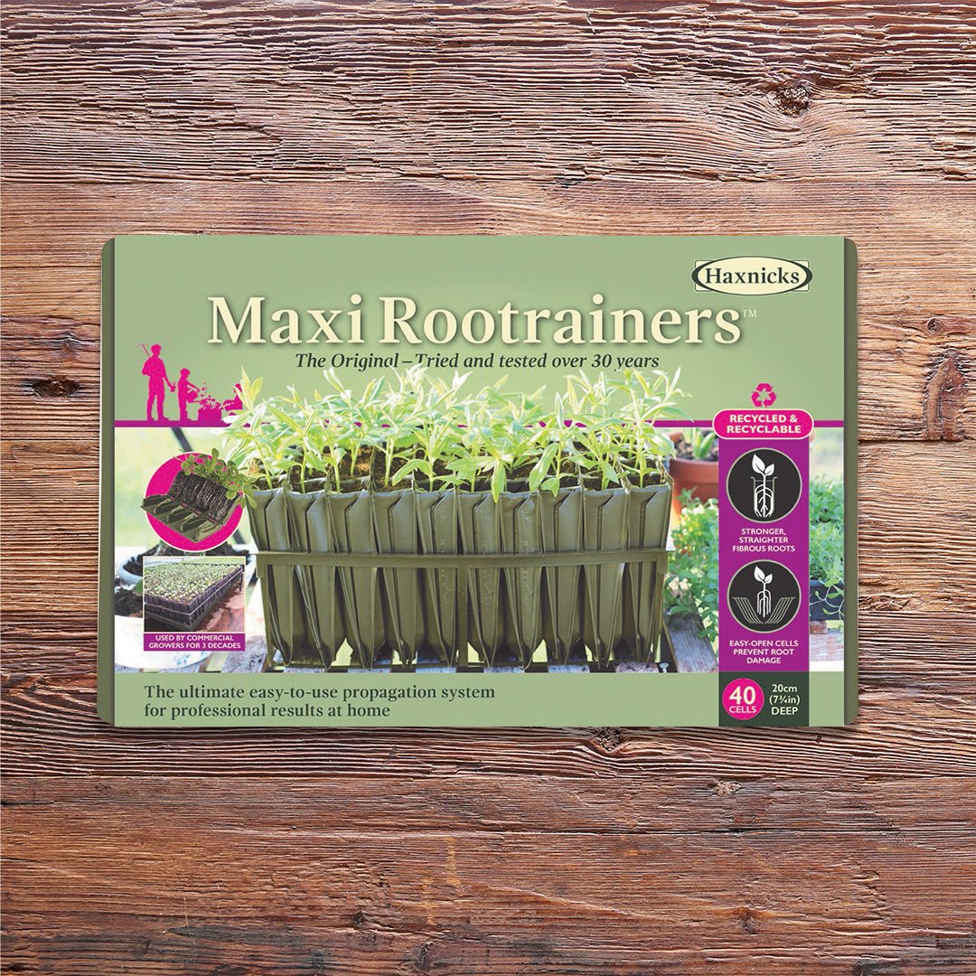 Maxi Rootrainer packshot on a wooden background