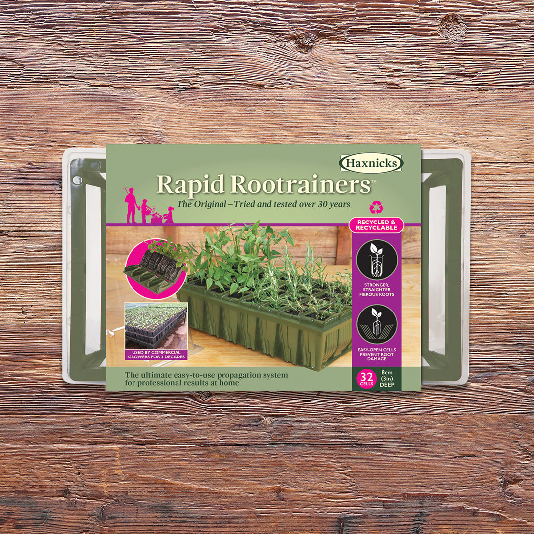 Rapid Rootrainer planting cell packshot on a wooden background