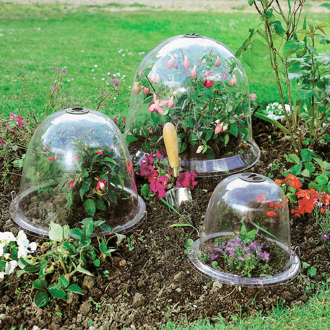 Victorian Bell Cloches covering different types of garden flowers