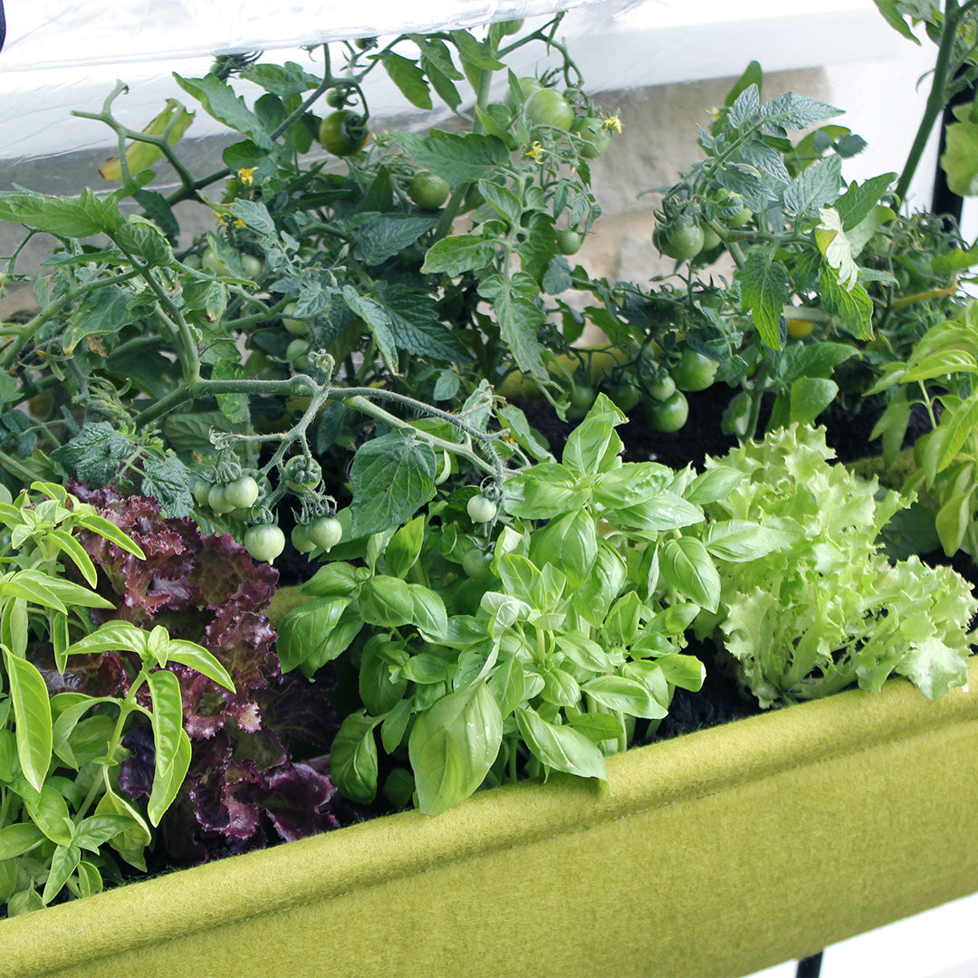 Vigoroot fabric table planter with many different types of plants inside a- close up shot