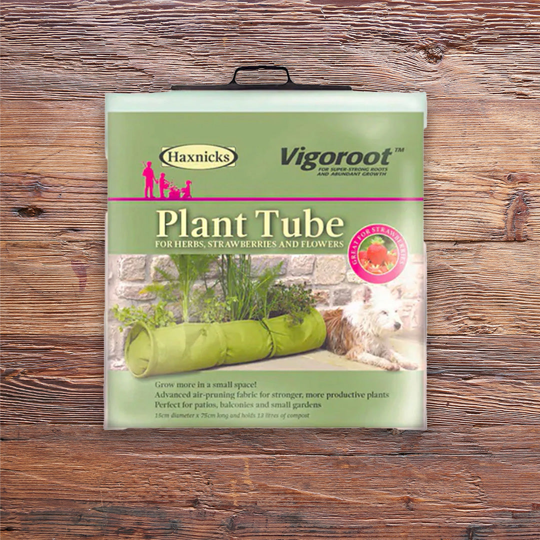 Pack shot of Vigoroot plant Tube planter on a wooden background