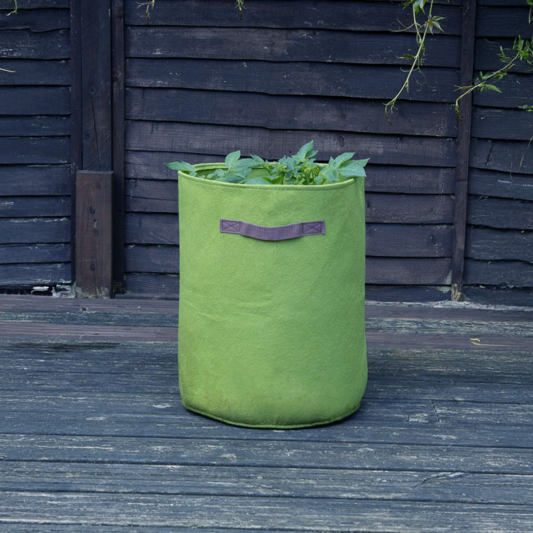 Vigoroot Potato/Tomato Planter with potatoes leaves hanging out of it. Next to a wooden fence