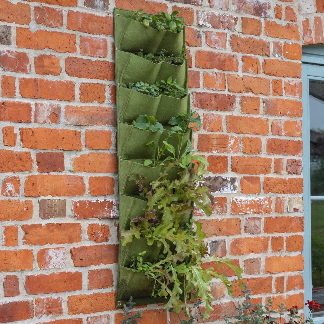 Attached to a brick wall, the Vigoroot Vertical Garden features green plants inside