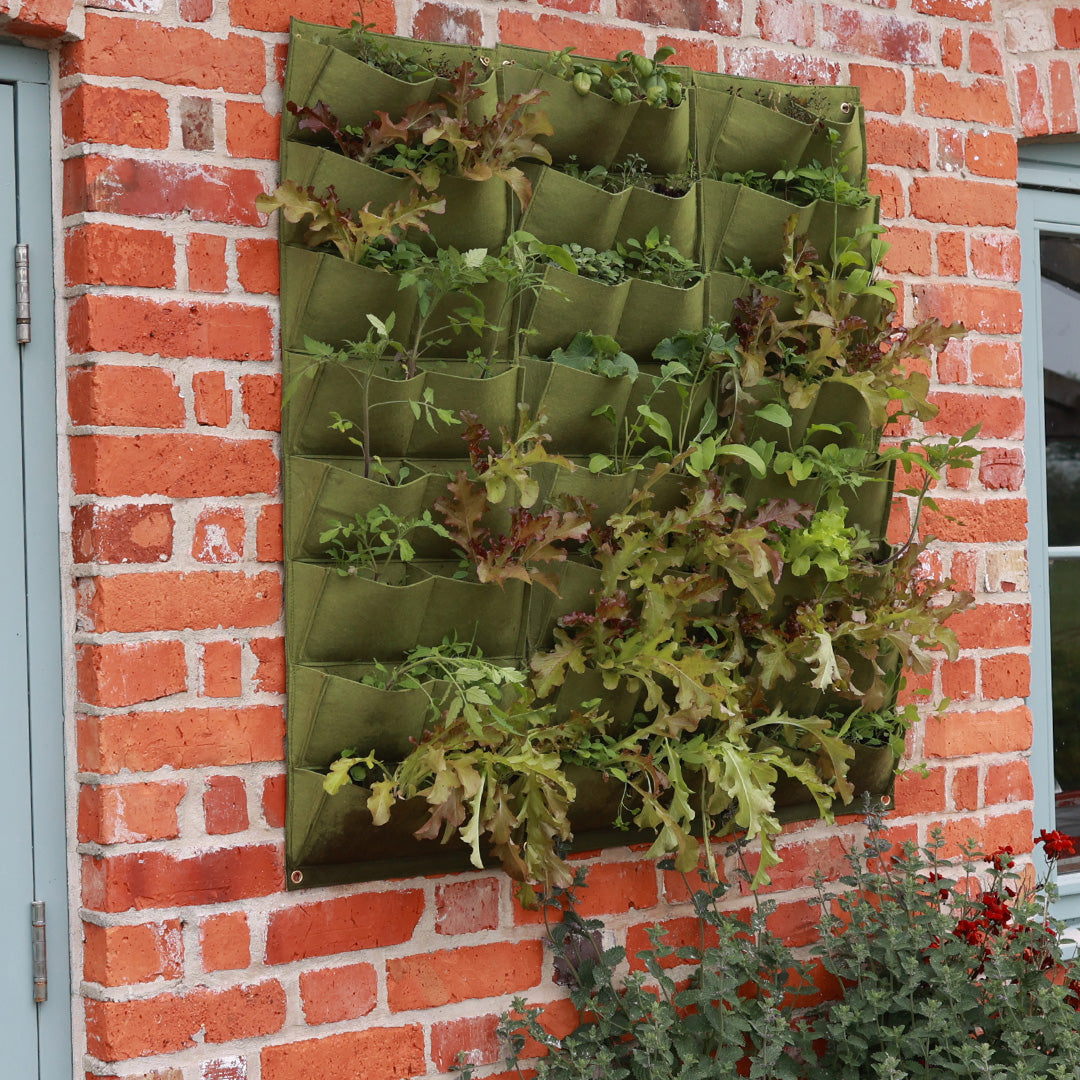 Attached to a brick wall, the Vigoroot Vertical Garden features green plants inside