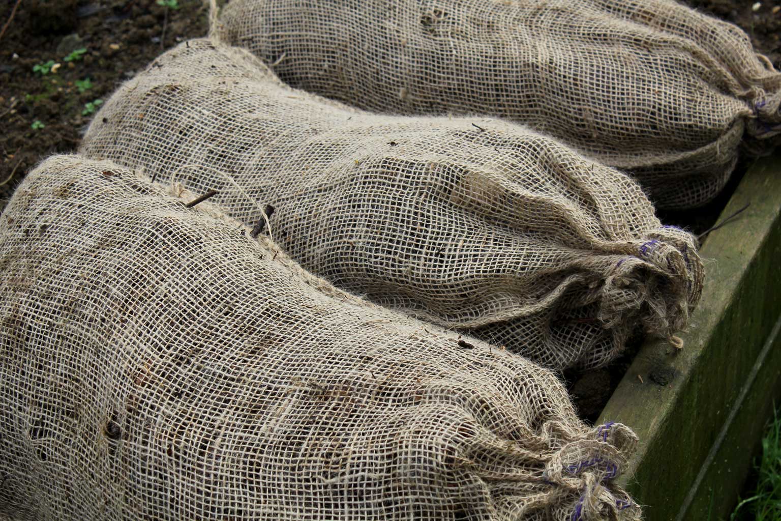 Haxnicks- 3 Composting Sacks in use on raised bed