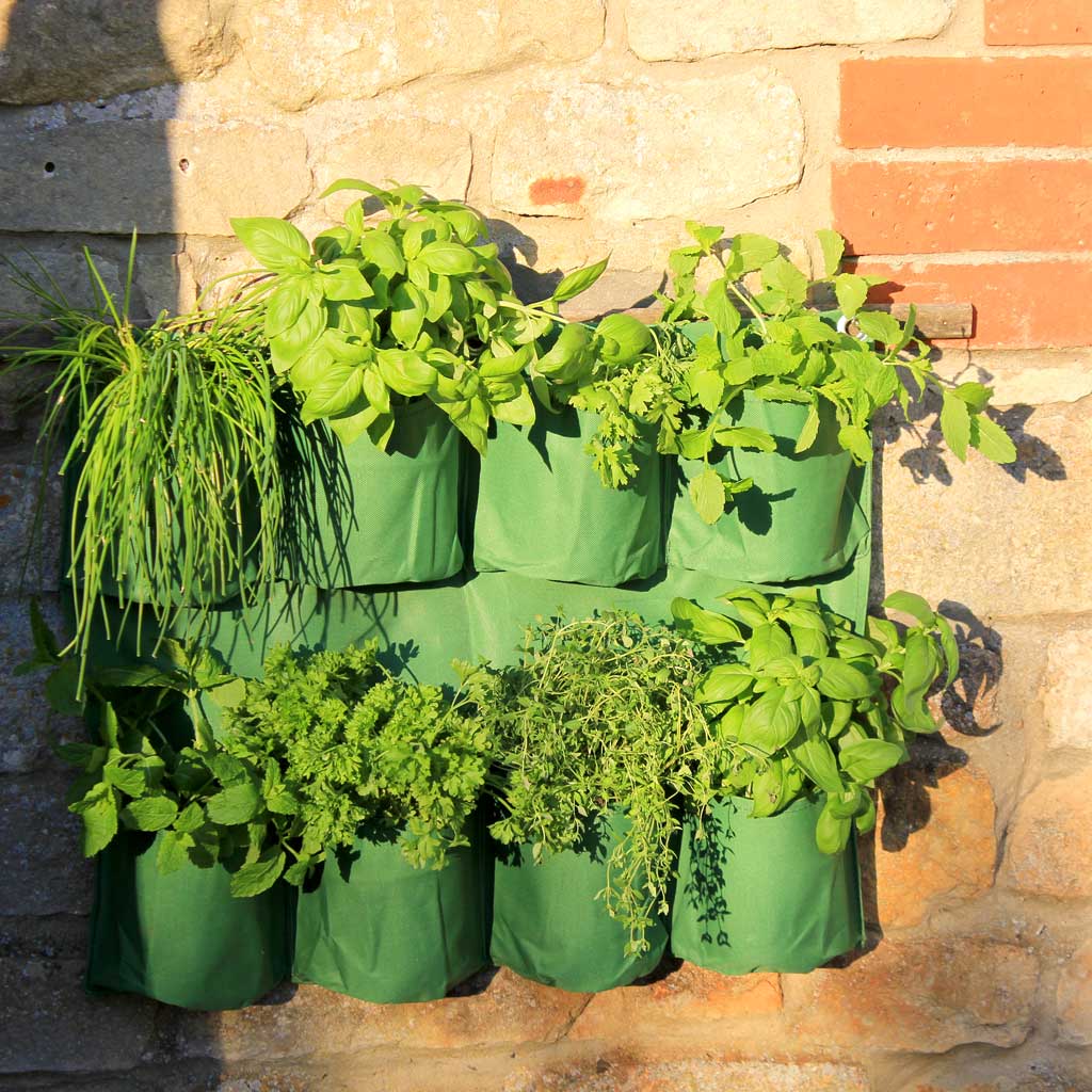 Herb Wall Planter - Haxnicks
