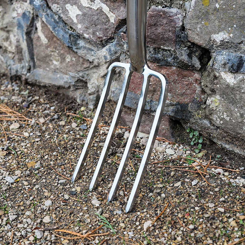 Vintage Ash Border Fork