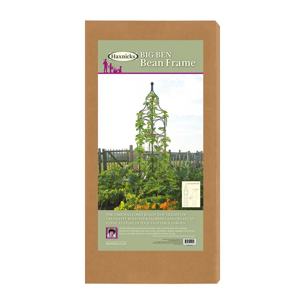 Haxnicks- Big Ben Bean Frame - packshot