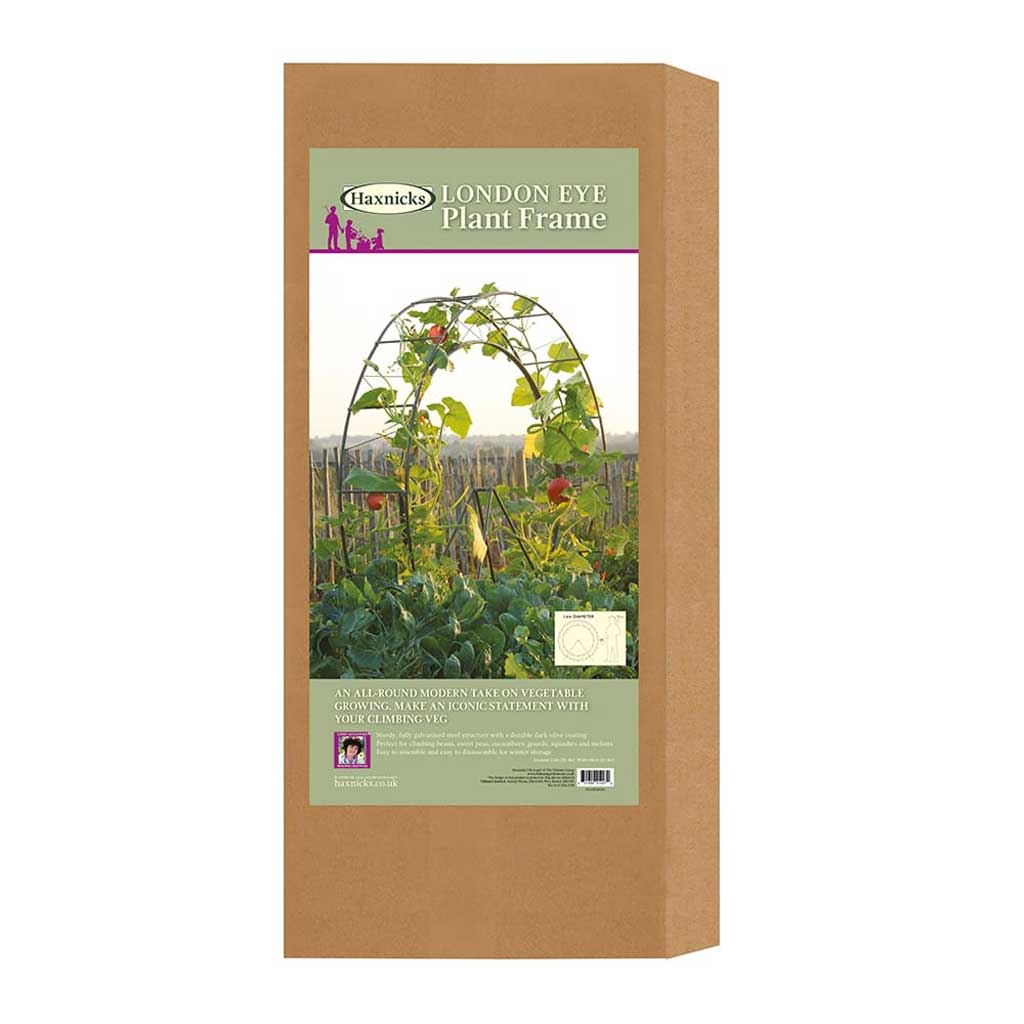 Haxnicks- London Eye Plant Frame - packshot