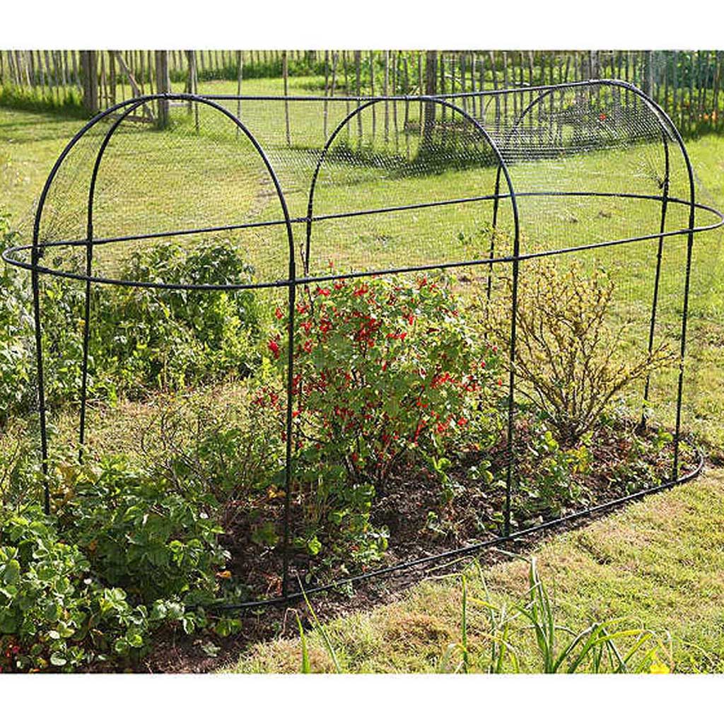 Steel Long Fruit Cage - Haxnicks
