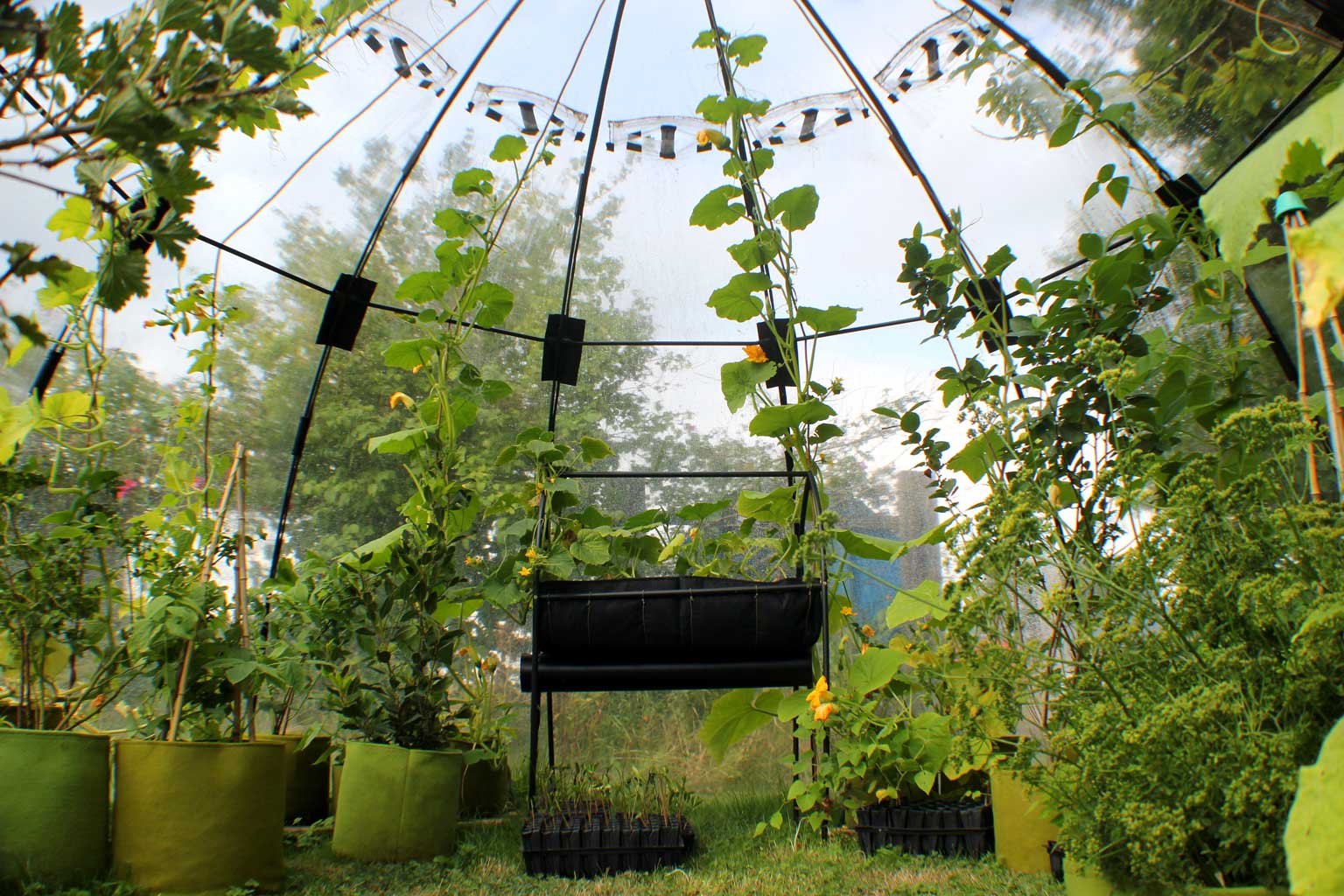 Sunbubble - Haxnicks- in use interior