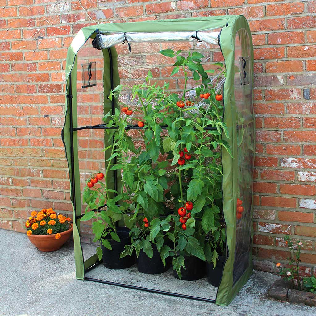 Tomato Crop-Booster - Haxnicks