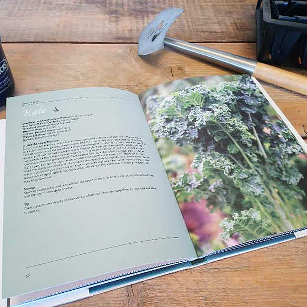 Haxnicks- Down To Earth - book open