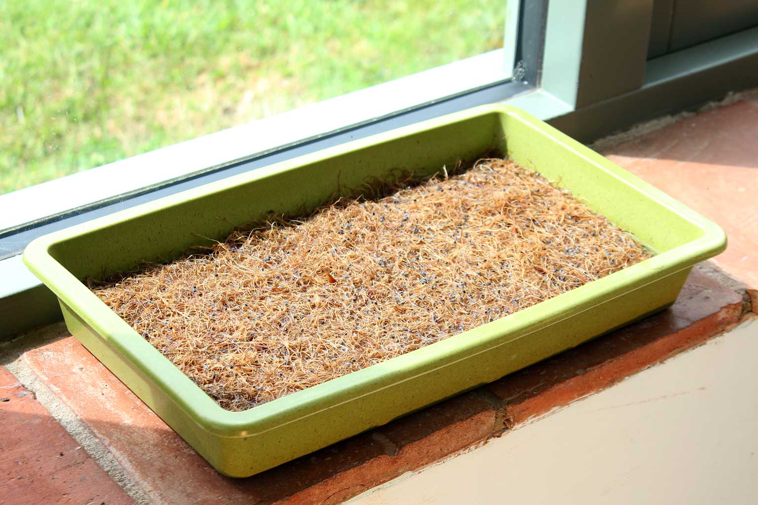 Haxnicks- Microgreens Mats (3 pack) - windowsill