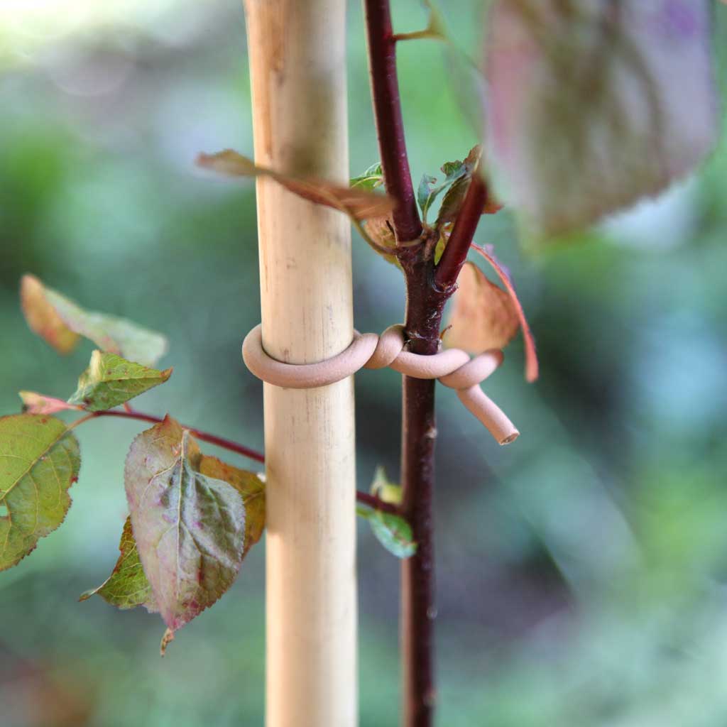 Slim Soft Tie Woody 8m - Haxnicks- in use