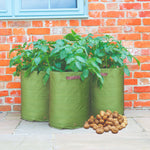 Potato Patio Planter (3 pack)