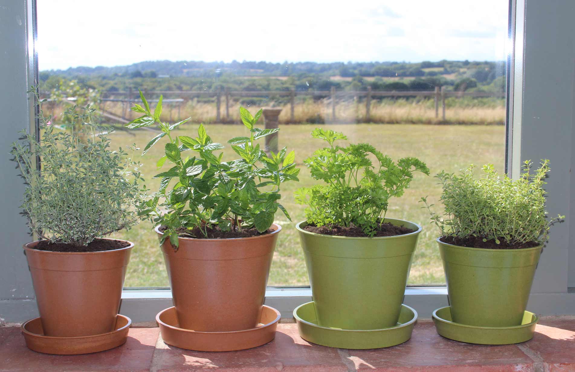 Haxnicks sustainable Bamboo pots, biodegradable, compostable natural bamboo pots