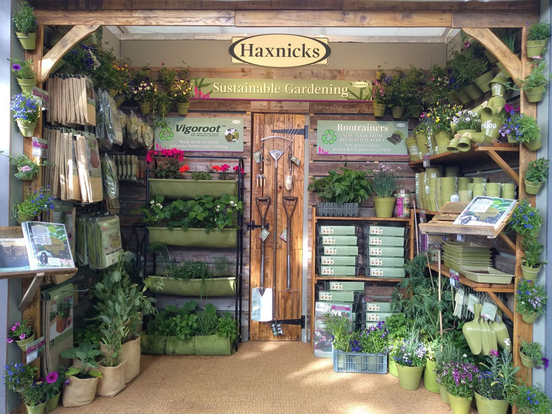 Chelsea Flower Show Love - and an award winning stand for 2022