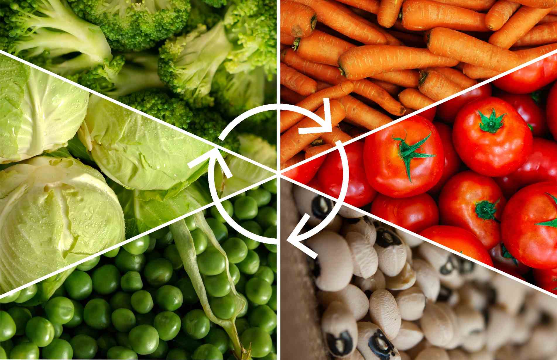 Beginners Guide to Crop Rotation in the Vegetable Garden