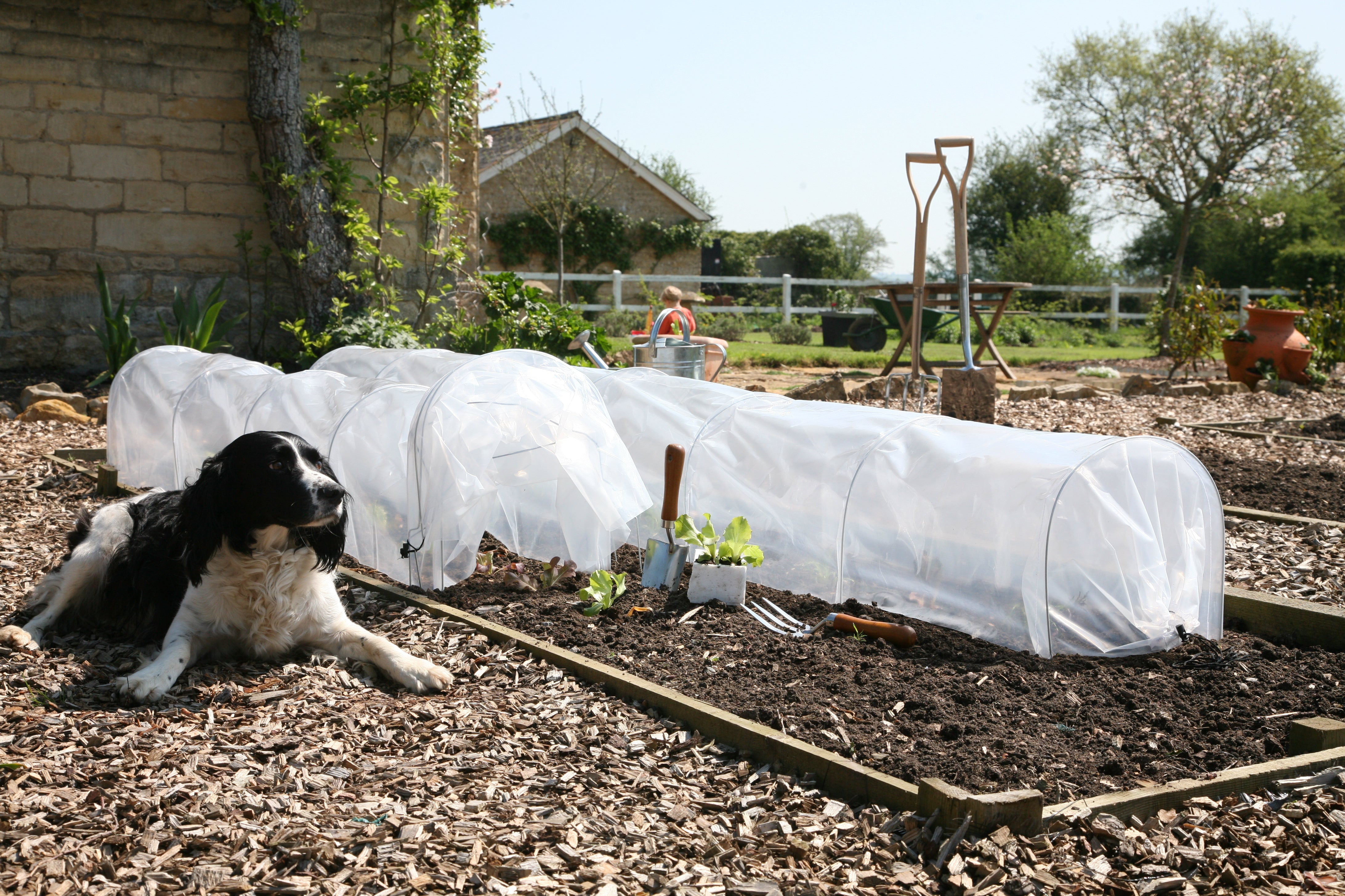 Haxnicks Easy Poly tunnels