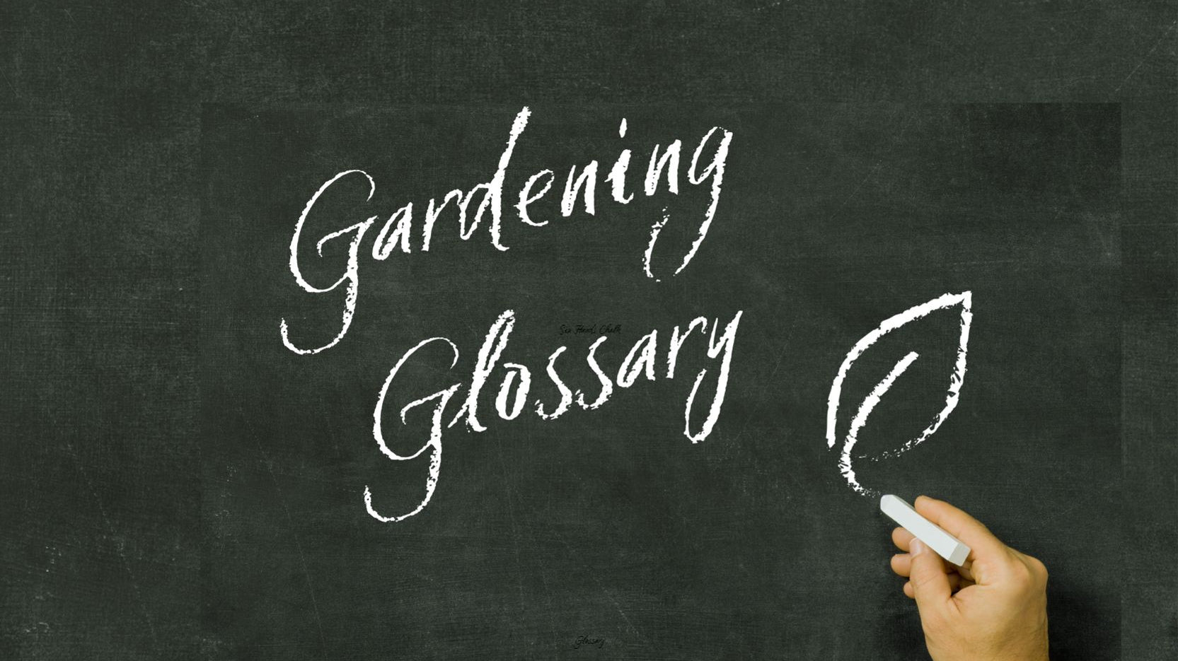 Haxnicks Gardening Glossary: terms new gardeners may need