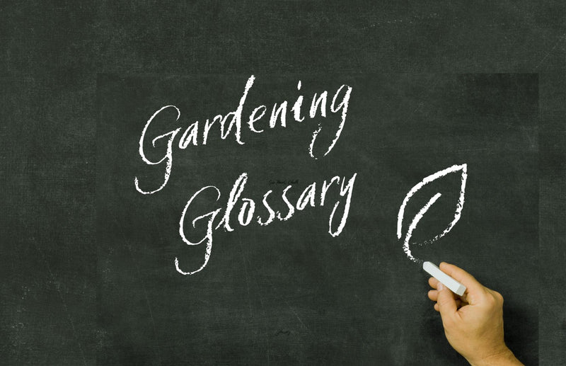 Haxnicks Gardening Glossary: terms new gardeners may need
