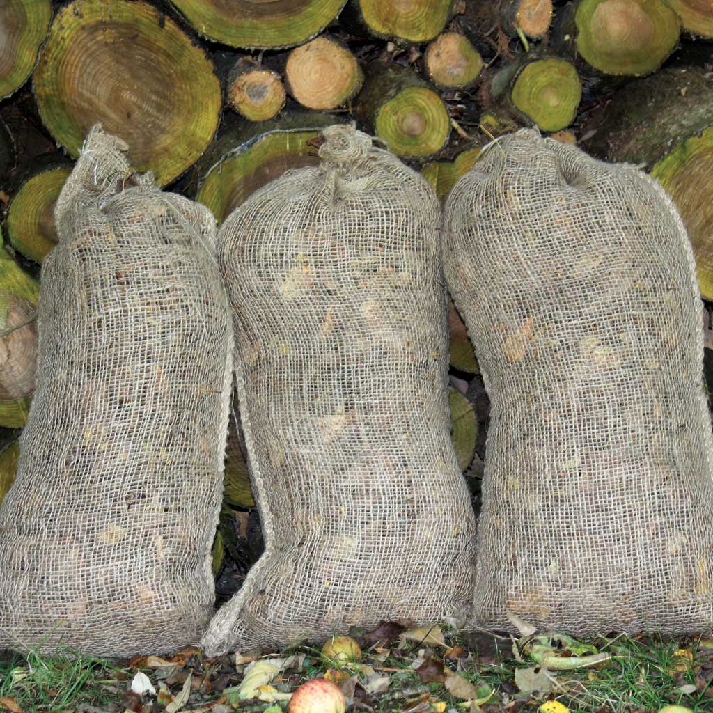 Turn "Garden Waste" into Garden Gold: The Magic of Leaf Mould