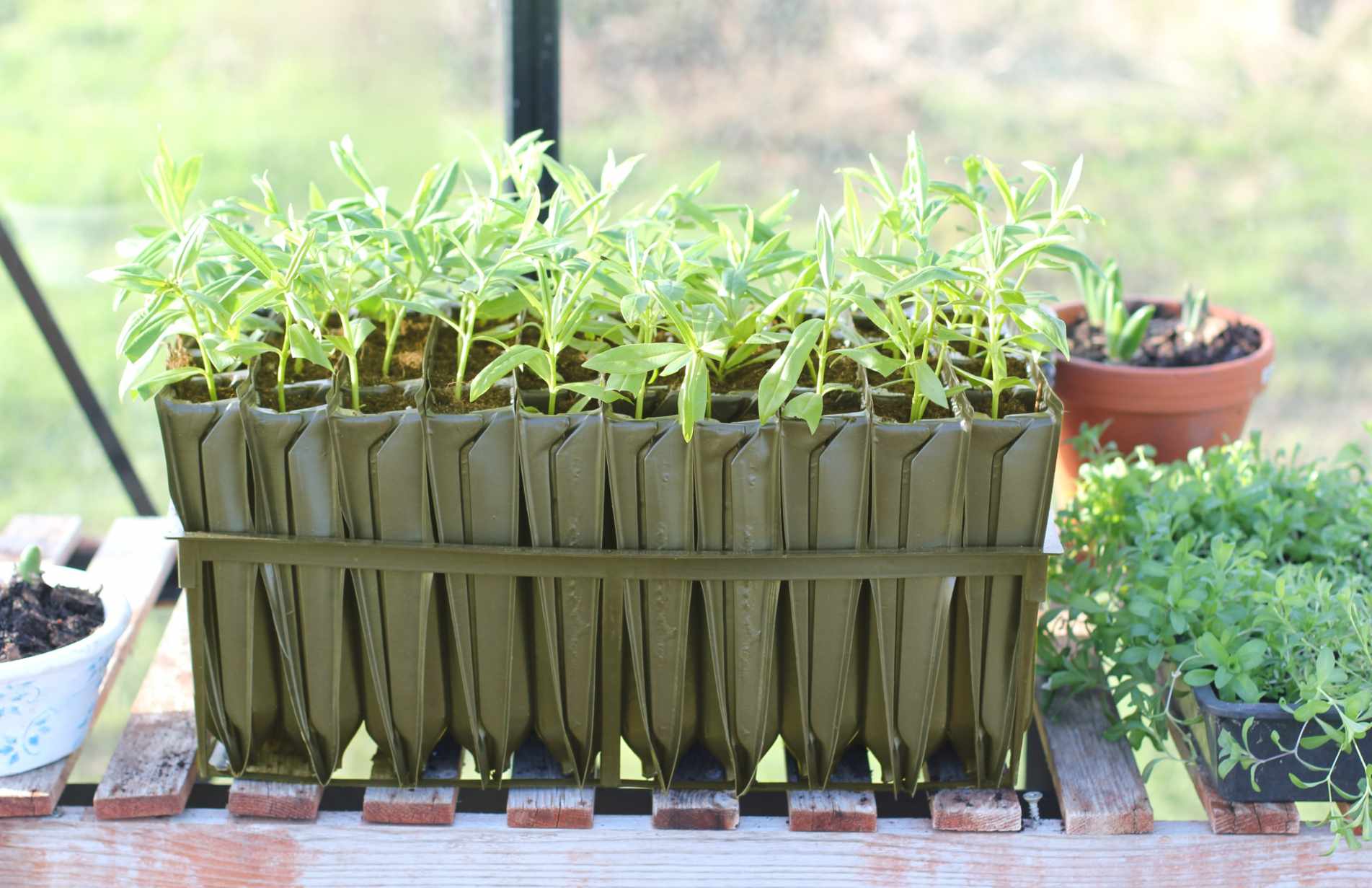 Choosing the Right Rootrainer